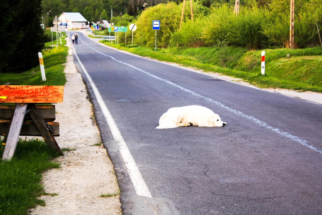 Ostello Kremenaros Ustrzyki Górne Esterno foto
